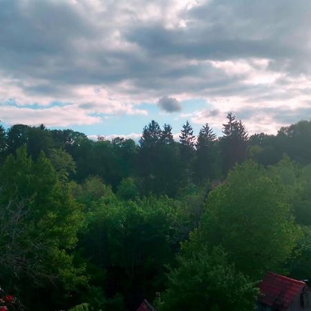 Ferienwohnung Im Manbach Фройденщат Екстериор снимка