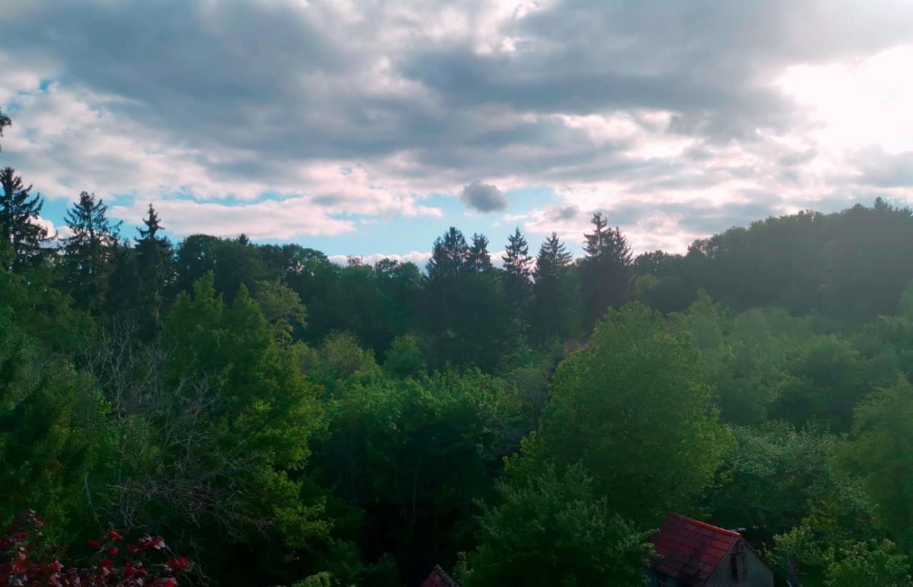 Ferienwohnung Im Manbach Фройденщат Екстериор снимка