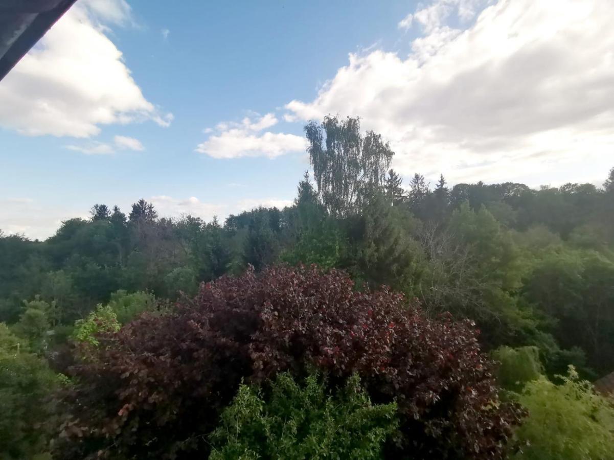 Ferienwohnung Im Manbach Фройденщат Екстериор снимка